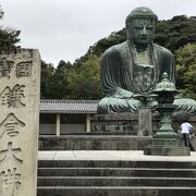 雨ざらしでやや気の毒