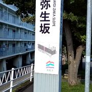 弥生坂を函館港に向かって下っていくと弥生小学校がありました。