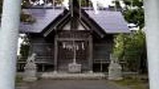 修学旅行で函館にやってきた中学生四人と引率の先生が、この神社にお参りしていました。