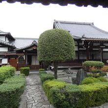 日體寺本堂と境内