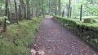 観光振興センターで場所を教えてもらいました