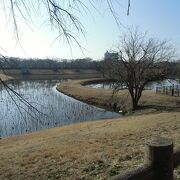 周囲の高い建物が無いので、広々と感じる公園です