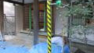 本堂の改装工事をしていました