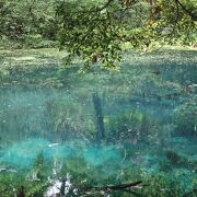 森の中の静かに青く澄んだ池