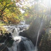 10月10日前後で紅葉は見頃だが、まだ緑が抜けきらない