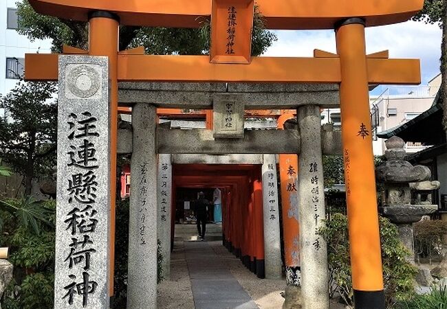 注連懸稲荷神社 クチコミ アクセス 営業時間 博多 フォートラベル