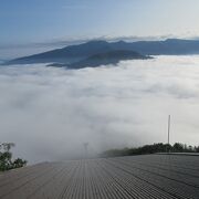 曇っていたが登ってみたら雲海が素晴らしかった大雪山層雲峡ロープウェイ 