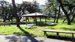 函館市電の「湯の川温泉」から歩いていきました。