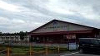 電動自転車で大沼公園駅からここまで来ました。