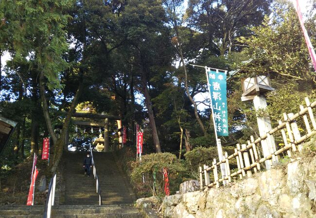 唐沢山神社