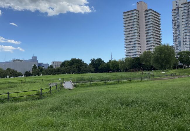 都立尾久の原公園 クチコミ アクセス 営業時間 田端 フォートラベル