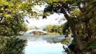 遊覧船で大沼湖をまわりました。