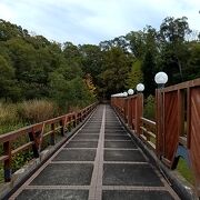 電動自転車で行ってみました。