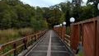 電動自転車で行ってみました。