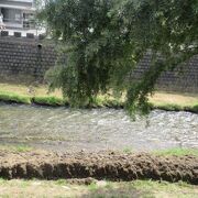 縄手通り横の