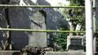 根気根気何事も根気です。