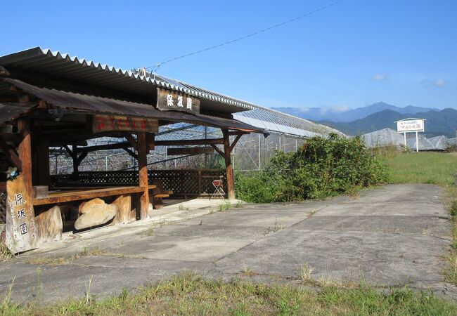 果樹園の地区です