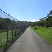 丹頂鶴自然公園(北海道釧路市)