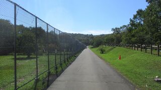 オリの上が開いているのが驚きました