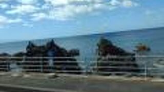 伝説のある夫婦岩