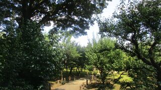 豊富な緑と伝統の建物