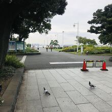 神奈川県民ホール前の入り口から