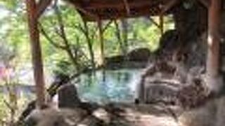 枯葉や蟻と一緒に入浴できます