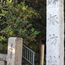 諏訪神社と東照宮が合祀されています