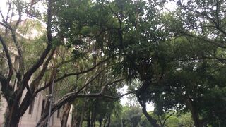 二二八和平公園