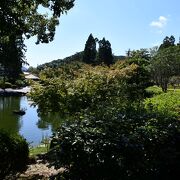 国宝の五重塔を擁する瑠璃光寺様を中心とする香山公園