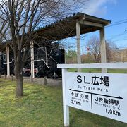 SLのD51が展示されています。　桜の時期に合わせて行きたかったな!