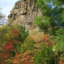 紅葉が始まった。