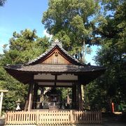 不思議な鳥居の有る神社