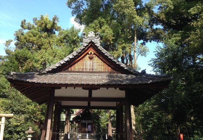 不思議な鳥居の有る神社