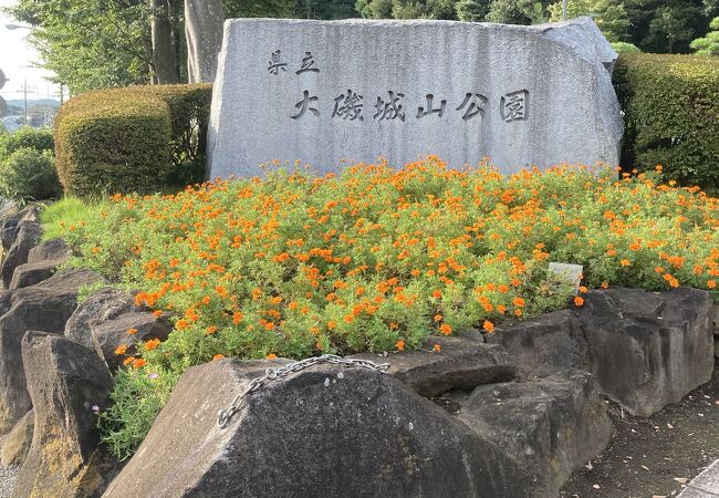 平塚 大磯の公園 植物園 クチコミ人気ランキングtop10 フォートラベル 神奈川県