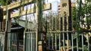 不思議な雰囲気のタヌキの像があります