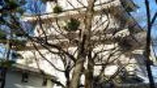 「のぼうの城」の舞台