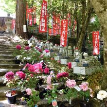 龍蔵寺