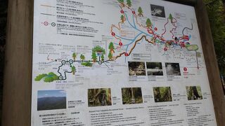 初級ハイキングコース