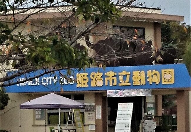 姫路市立動物園 クチコミ アクセス 営業時間 姫路 フォートラベル 姫路市立動物園 クチコミ アクセス 営業時間 姫路 フォートラベル