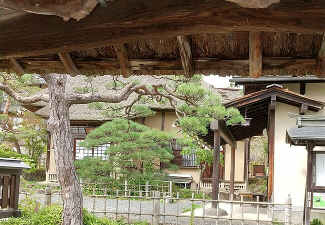 茶道具 沢庵禅師遺跡春雨庵 茶杓「山ノ井」山形上山 林慶作 共箱