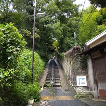 写真の右側が「関口芭蕉庵」の敷地、左側が「水神社」境内です。