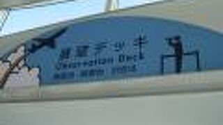 たくさんの機種を観ることができます