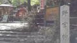 樹木そのままの鳥居