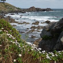 中須賀海岸の岩礁美