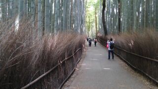 静けさに囲まれた道