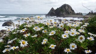 様々な海岸美が身近に楽しめる！　～　種差海岸