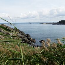 自然がそのまま残る蕪島の姿です