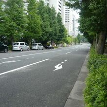 六本木通りから見た霞ヶ関坂です。街路樹が坂の両側に見えます。