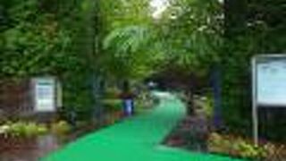 淡水魚の水族館